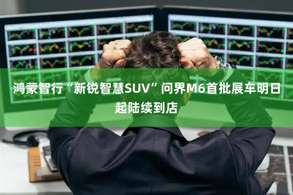 鸿蒙智行“新锐智慧SUV”问界M6首批展车明日起陆续到店