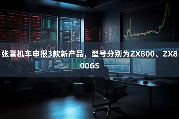 张雪机车申报3款新产品，型号分别为ZX800、ZX800GS