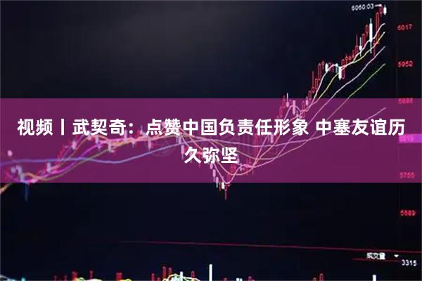 视频丨武契奇：点赞中国负责任形象 中塞友谊历久弥坚