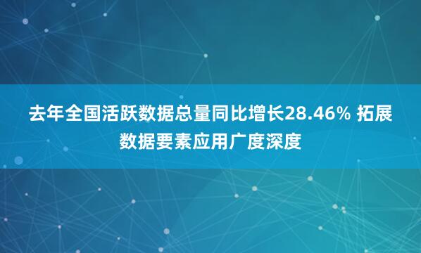 去年全国活跃数据总量同比增长28.46% 拓展数据要素应用广度深度