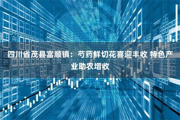 四川省茂县富顺镇：芍药鲜切花喜迎丰收 特色产业助农增收